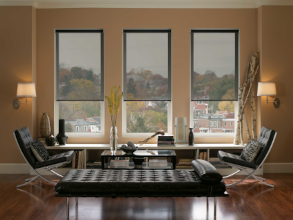 Roller Blinds 21